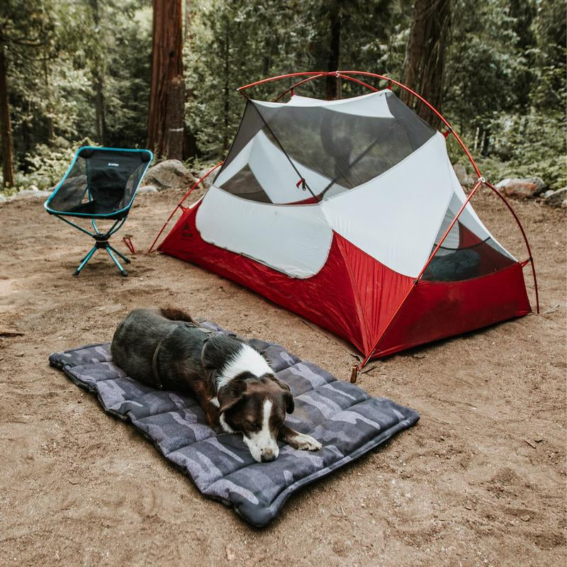 Trailblazer, Tough Travel Dog Bed