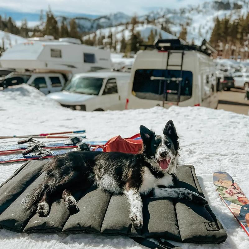 Trailblazer, Tough Travel Dog Bed