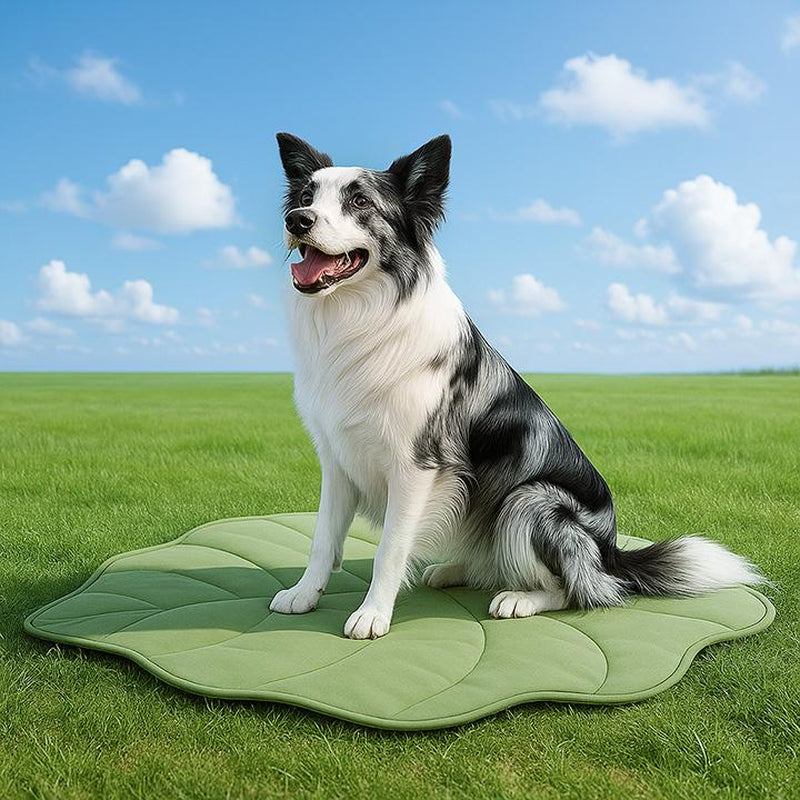 Vagascape Cooling Pet Mat/All Season Pet Mat, Eco-Friendly for Large Dog, Cats Use in Crate, Trunk, Camping, Portable, Machine Washable,