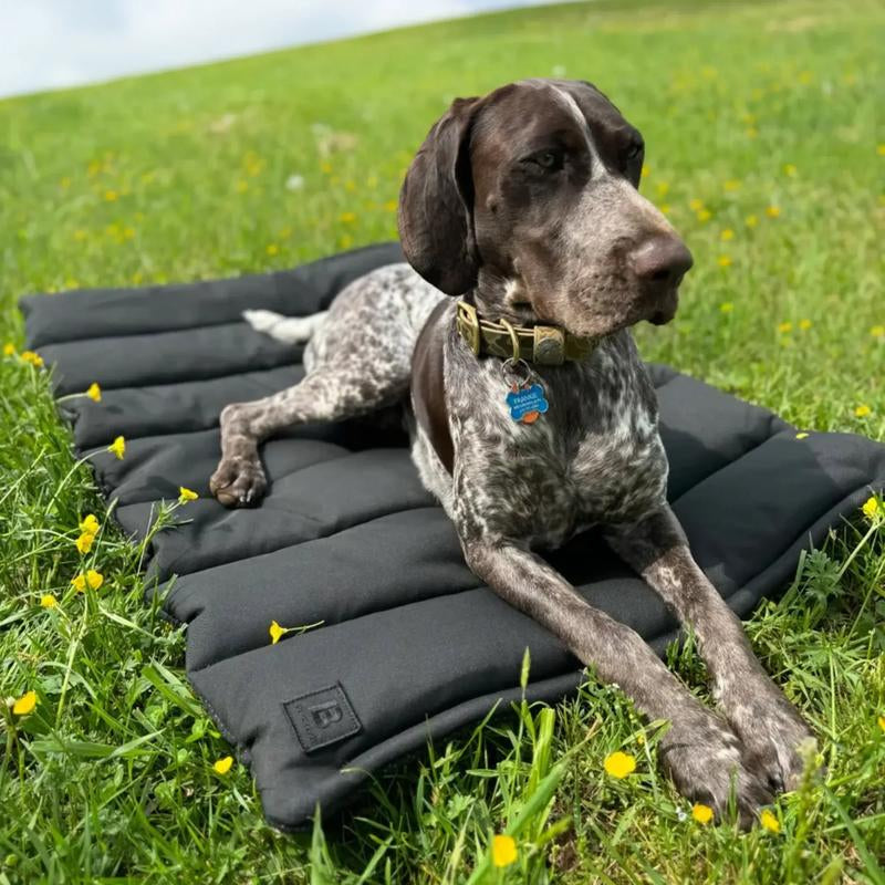 Trailblazer, Tough Travel Dog Bed