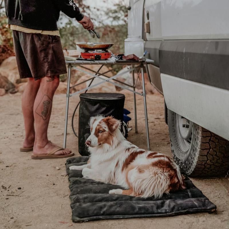 Trailblazer, Tough Travel Dog Bed