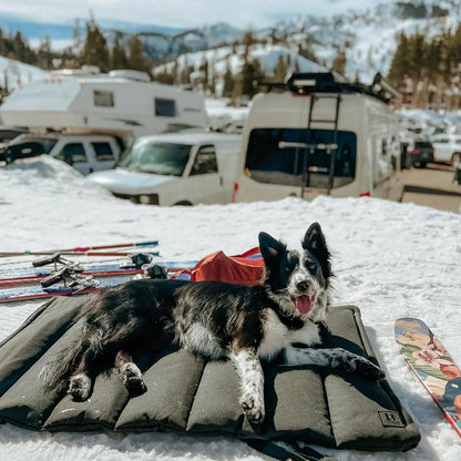 Trailblazer, Tough Travel Dog Bed