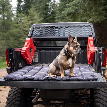 Trailblazer, Tough Travel Dog Bed